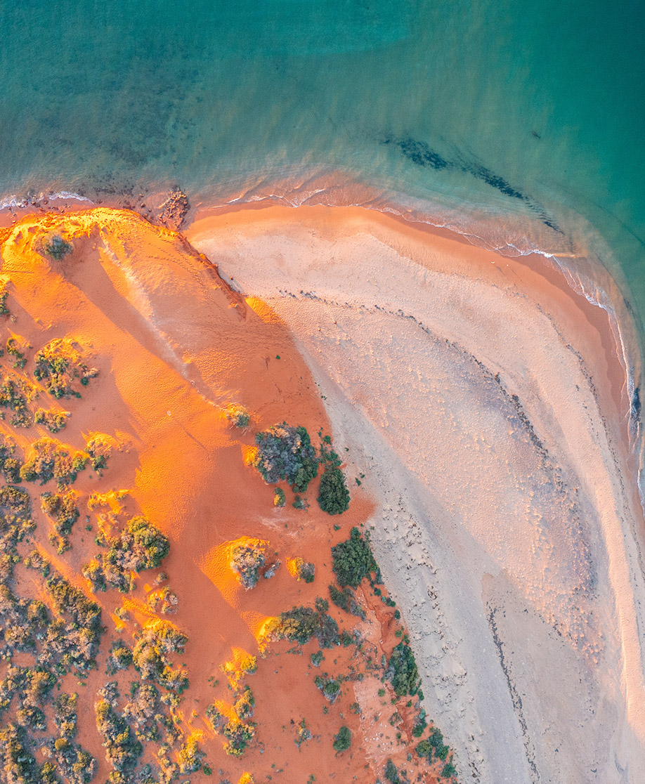 aerial shot of australian beach
